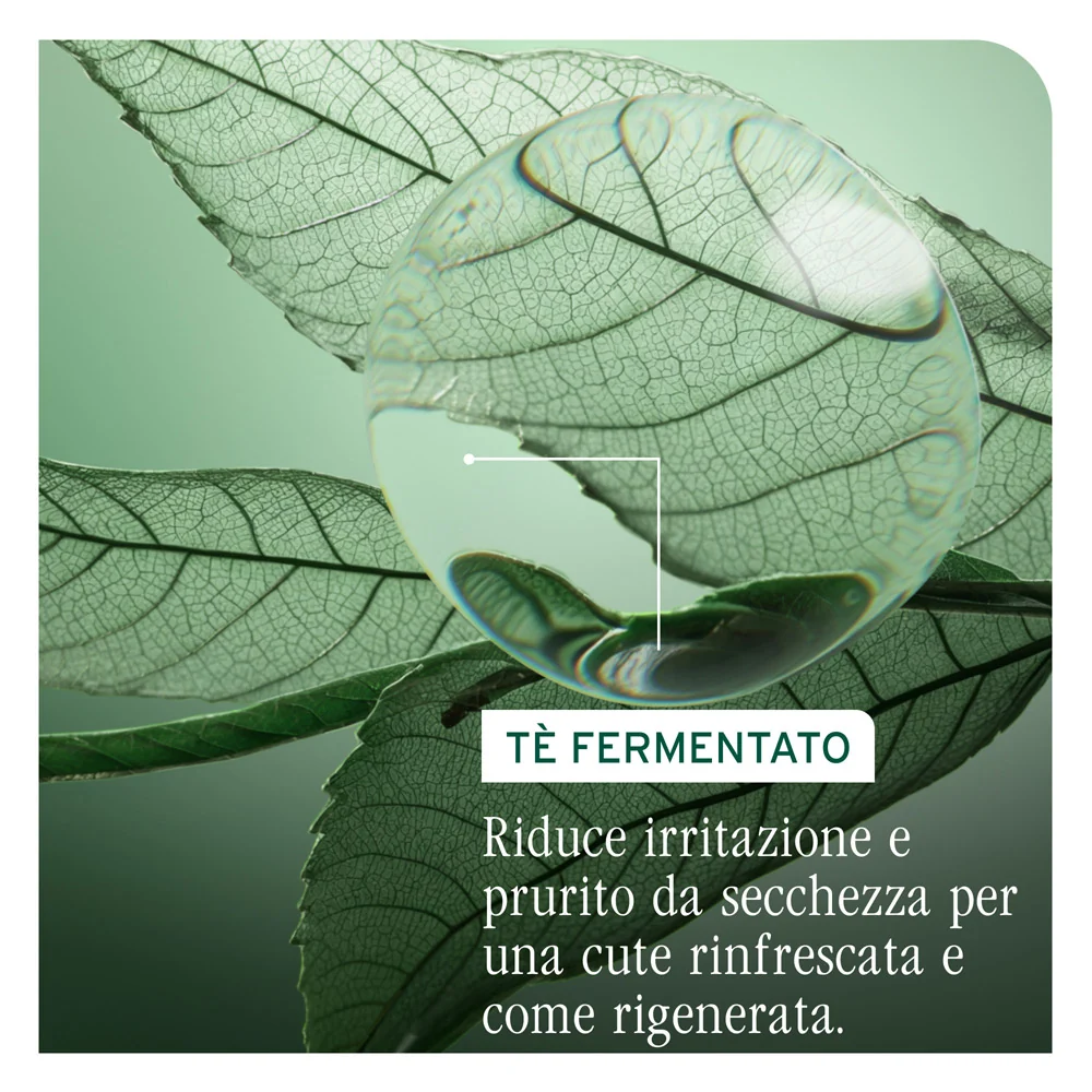 Biolage Professional Hair Spa Scalp Sync Purifying Scalp Concentrate 200ml - trattamento pre shampoo purificante - Image 5